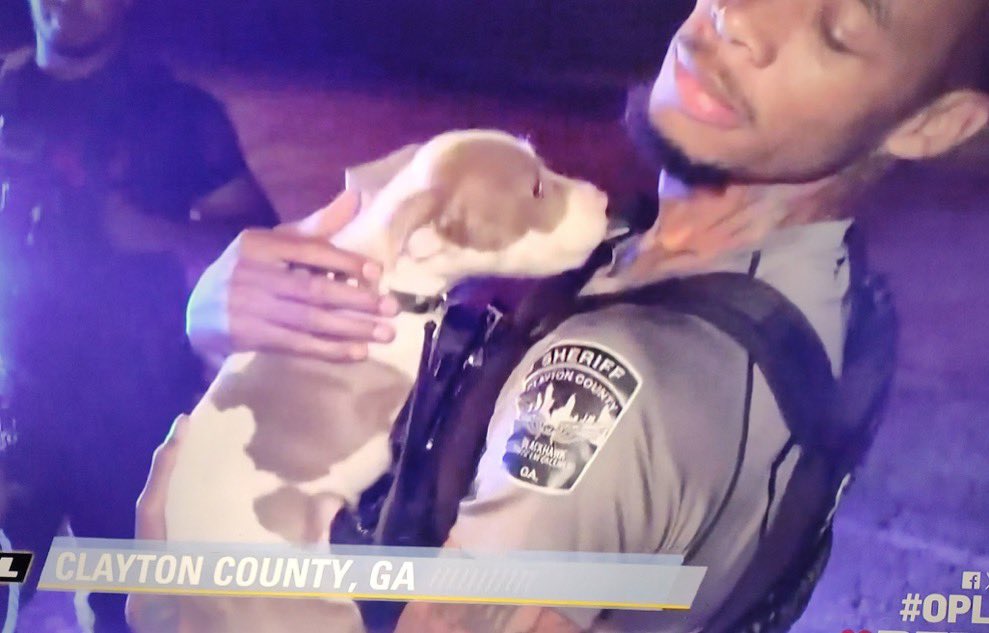 edscala's tweet image. 2 hrs in and the only dog we’ve seen is binky….where are my K9s? I need to see someone get dog but!

#OPLive #OPNation @OfficialOPLive