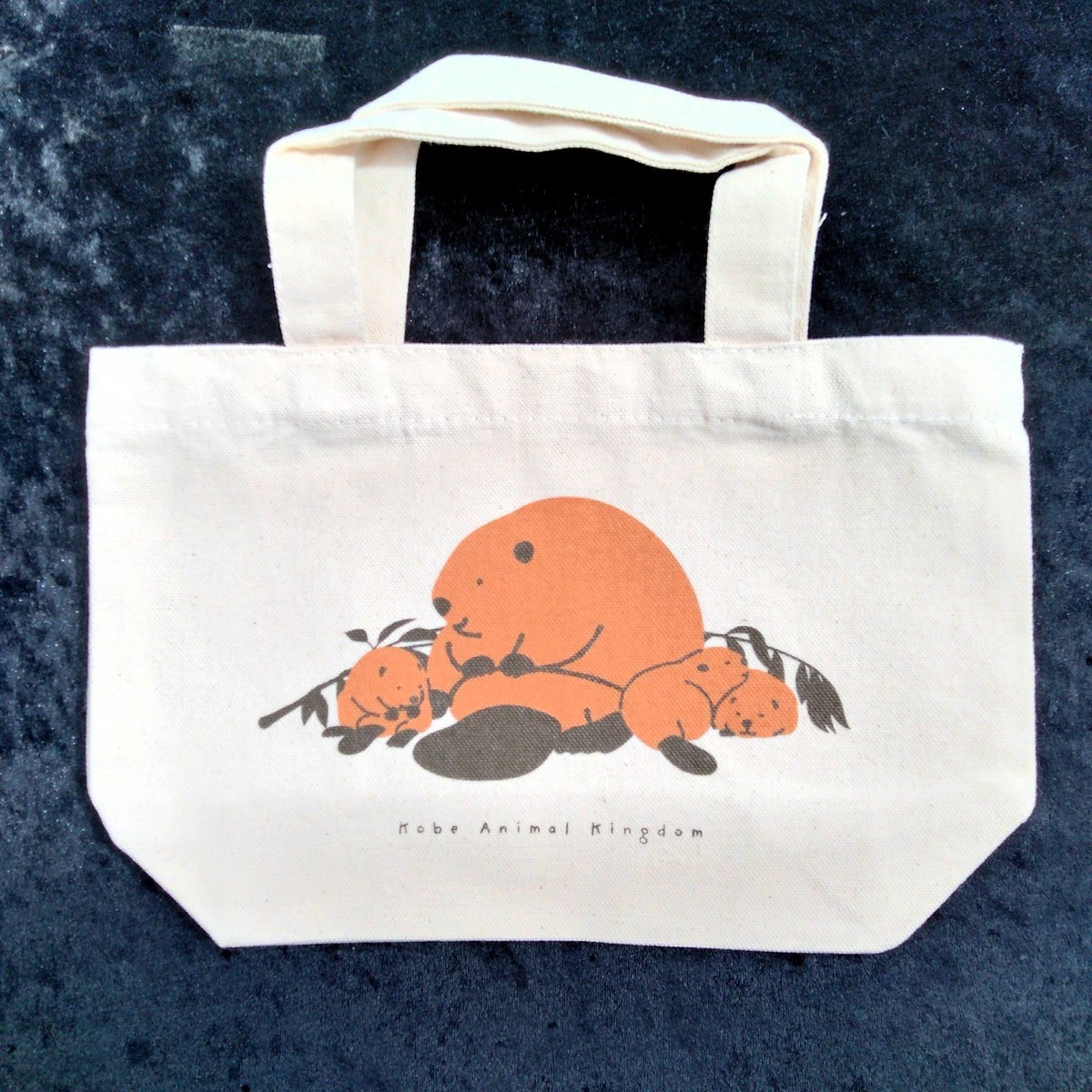 神戸どうぶつ王国 Gift Shop Capy&Berbara(カピィ&バーバラ)【公式】 tweet media