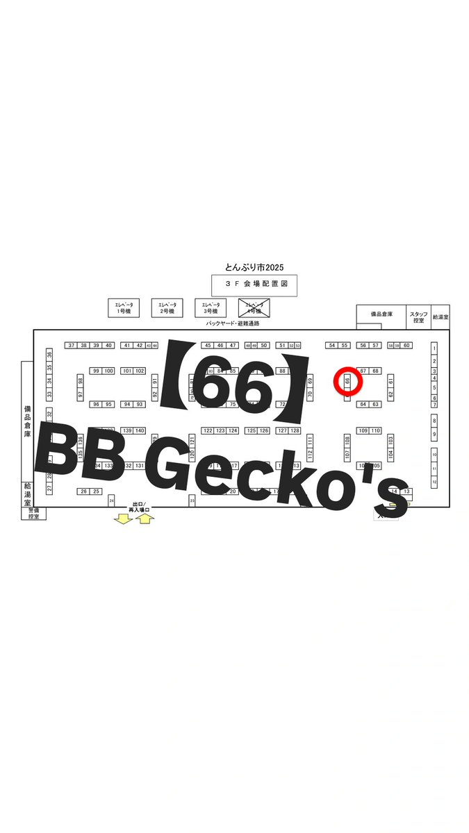 BB Gecko's@近畿レプタイルズマーケット【3/1】 tweet media