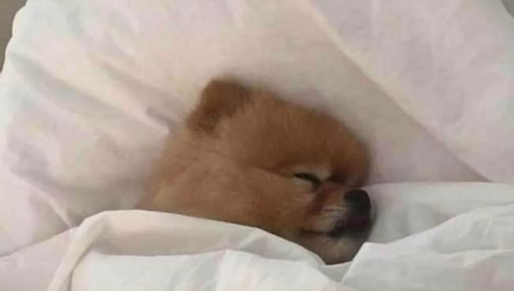 Lo único bueno de no traer ondas con nadie es que a las 9 ya te da sueño.