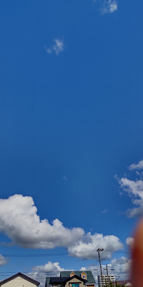 本日は、メンバー7名＋体験1名でモルックやってきました！
体験といっても、ルール説明して、即みんなと一緒に試合！
モルックは、初心者も経験者とすぐに一緒にできますね！素晴らしい！
#秋田市 #モルック