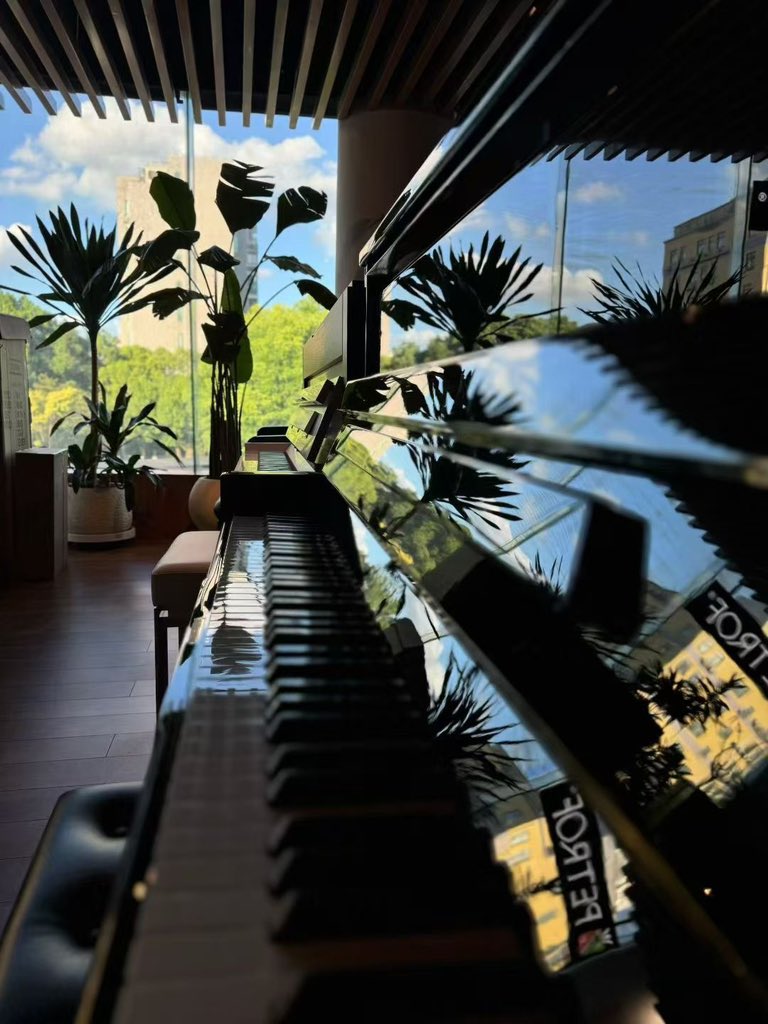 野生的Assir tweet media