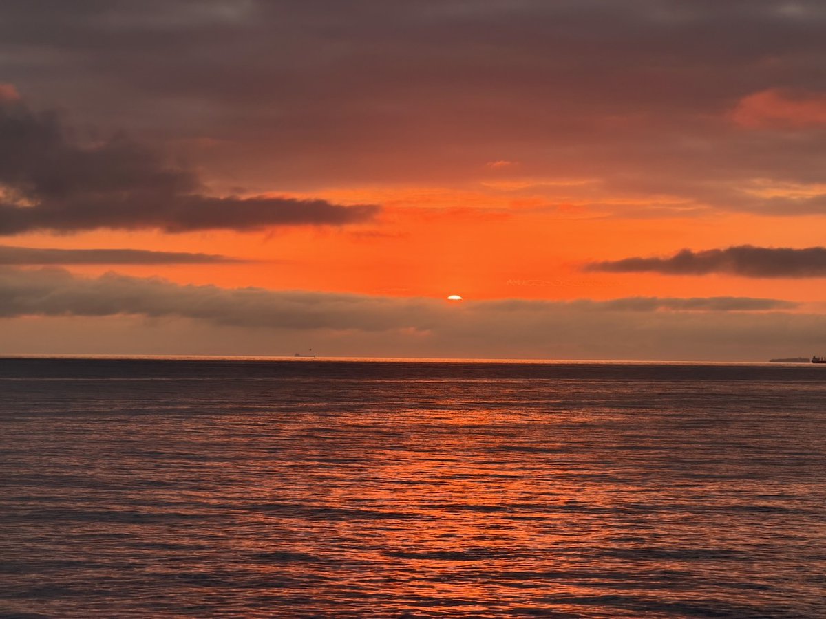 Patrick O'Neill tweet media