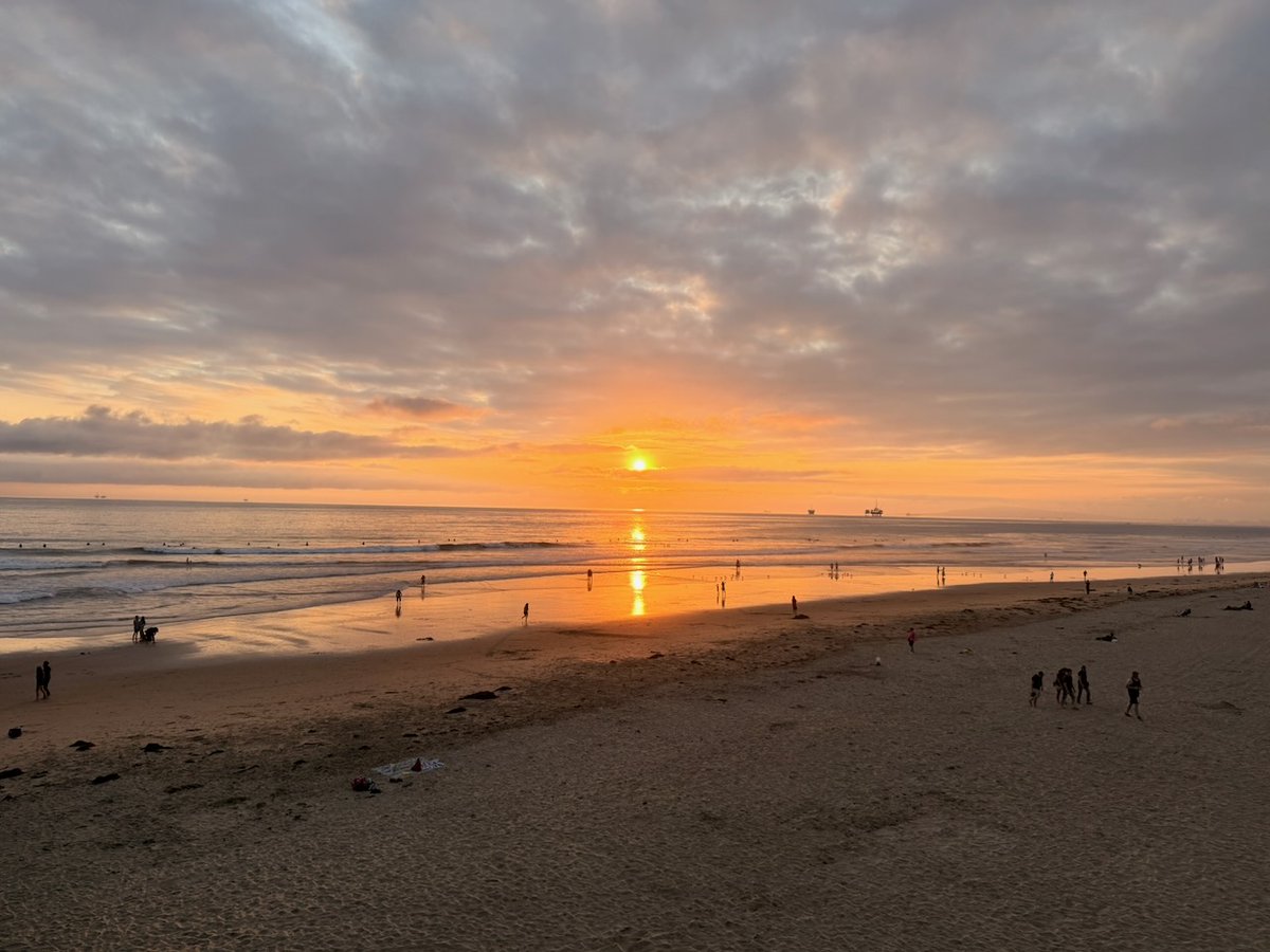 Patrick O'Neill tweet media