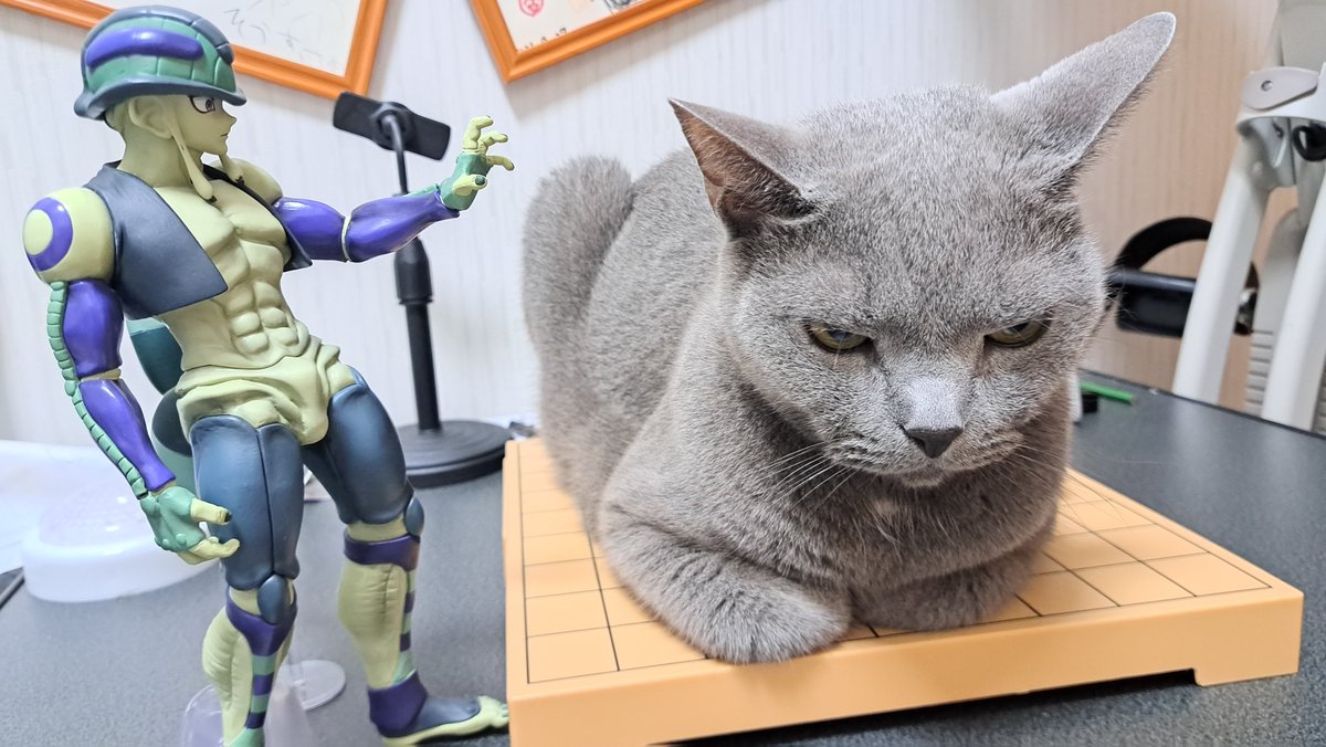 kokesukepapa's tweet photo. それは余の将棋盤である。貴様の座布団ではない。乗るな。 https://t.co/1HZ9FJrD8q
