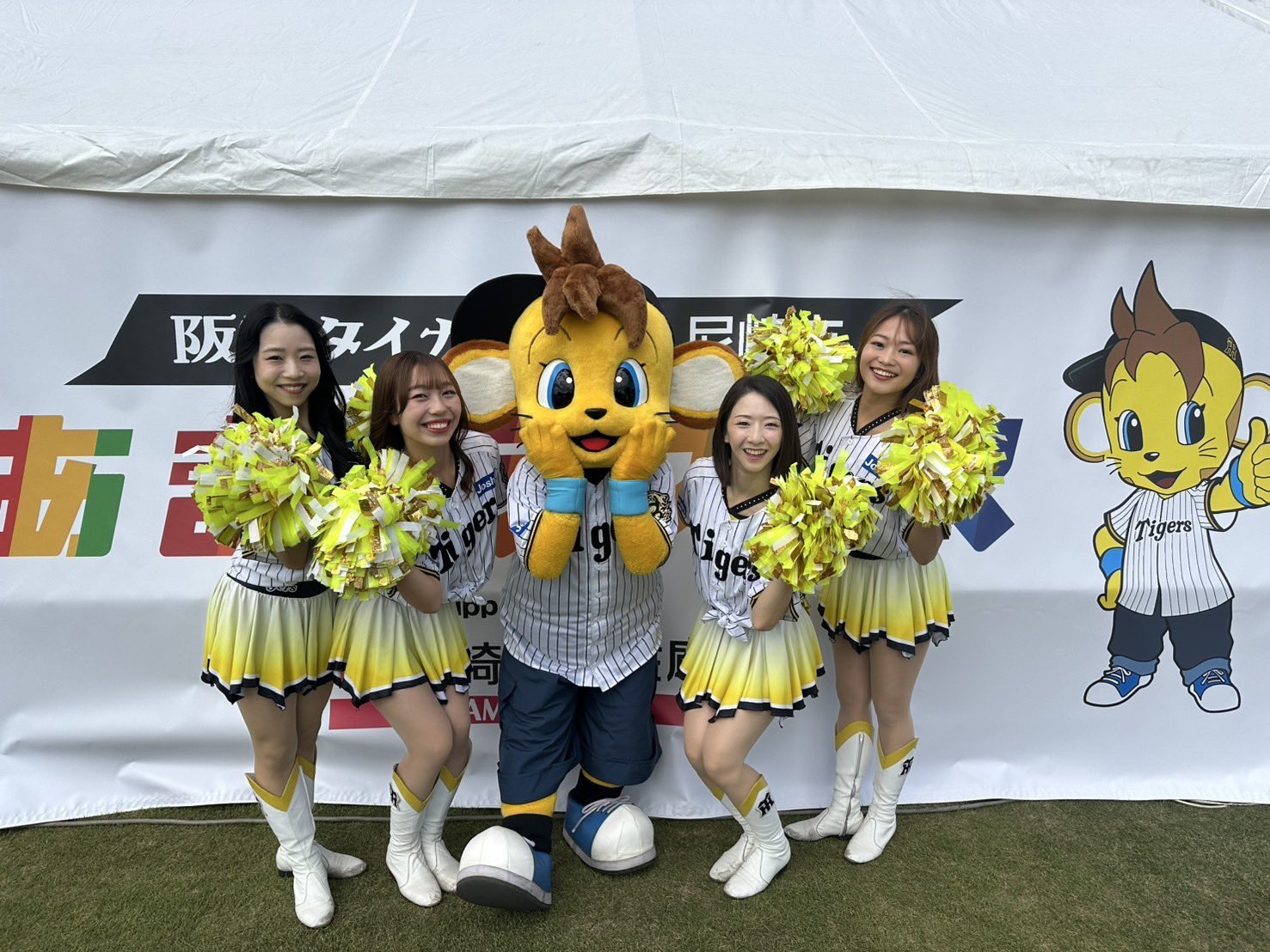 ルナシー即日発送、匿名配送可様　8月12日、24時まで専用です。 阪神タイガース 阪神タイガース承認 ライパット シルバーカーNEXT 阪神