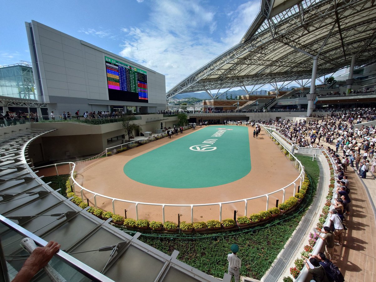 つねは@原神＆オンゲキ tweet media