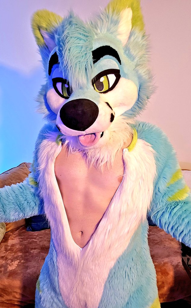 Which is better? Zipped or unzipped? 

#FursuitFriday