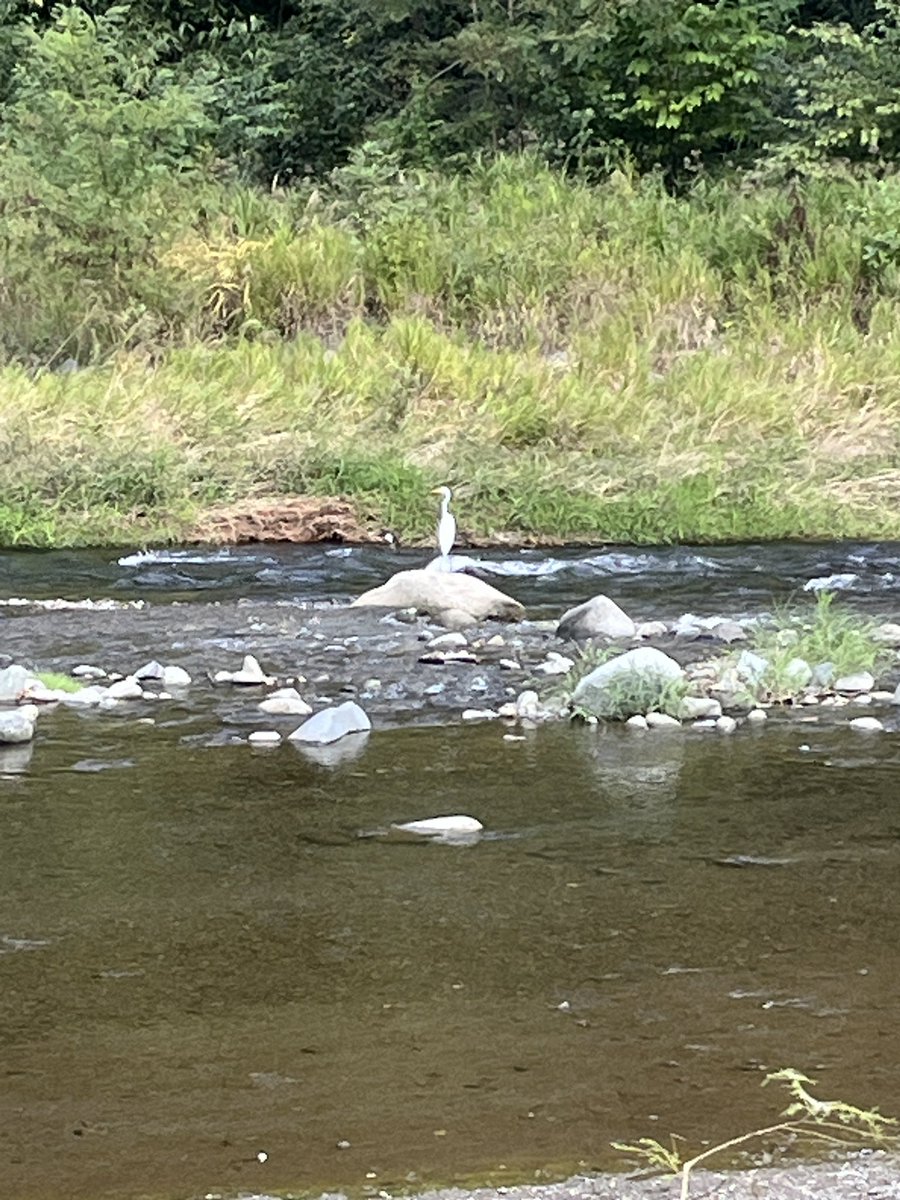 久しぶりにキャンプ