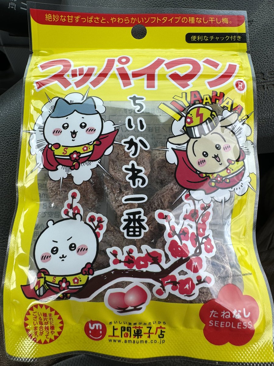 スッパイマン ジェントルマンズ トラベル スリッパ― mens 23000 | COLE_HAAN