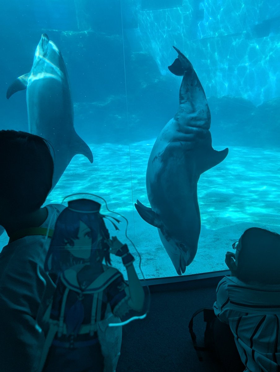 レア (@ontama_lea) on Twitter photo 