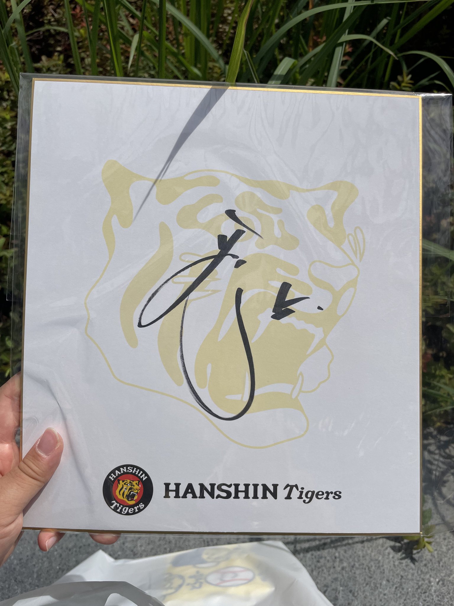 ねろちゃん サイン色紙 (最終値下げ) ほげてる on X: 