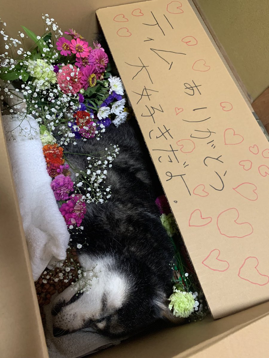 JuneToki's tweet image. 度々…図工の時間にティムを書く4年生の孫😆☝️
ちょっとハスキーっぽいけど😅💦
上手に書けてて驚いた😳👍

🌈ティムまで届け～