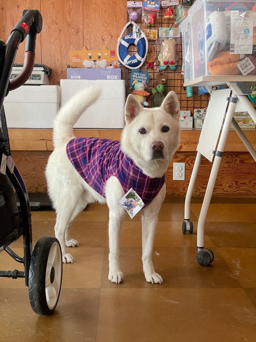 정말 귀여운 10살 생일 선물을 받았어요 💜💜 관심있던 제품인데 헤헤 겨울 따뜻하게 잘 보내겠습니다 감사해요 로언💜