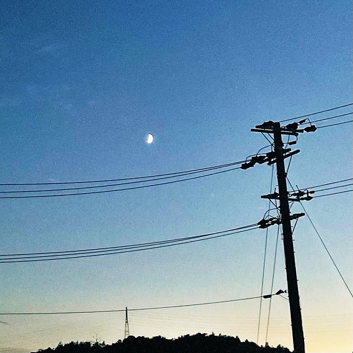 kumazaki's tweet photo. 今日は車移動。
3倍の濃さで熱湯抽出→水とクラッシュアイスを加えてボトルに詰めたアールグレイBOP @feuillesbleues をちびちびと飲み続けていました。帰宅したら何を飲もうかな。皆さまは、いかがでしたか？ https://t.co/LNfIoDkp6H