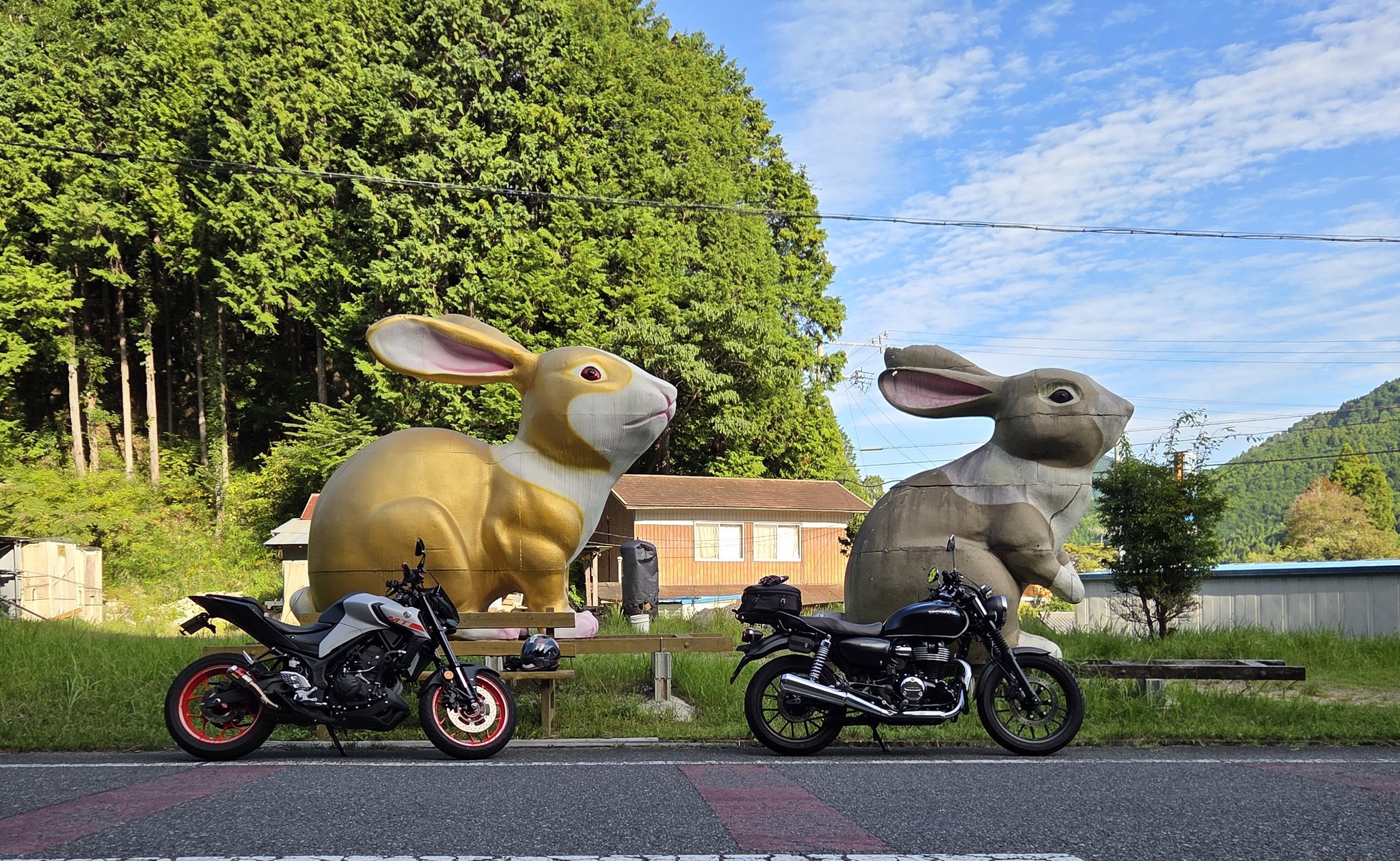 未開封】teto Tシャツ BAIHARU 岡崎京子 Lサイズ teto tシャツ BAIHARU