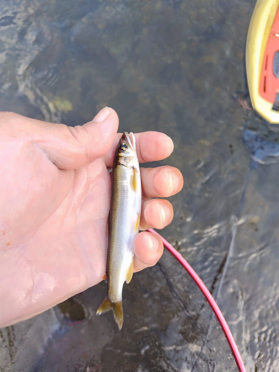 釣り人達(相模川) 相模川 - Search / X