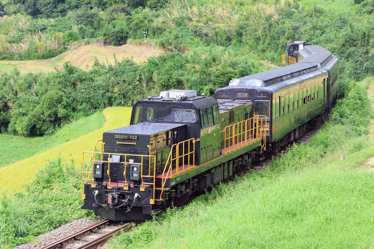 ネギ熊さん 熊クマ on X