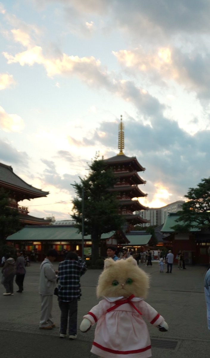 にゃんだらけ19、1日目お疲れ様でした！
イベント後もシフトの関係で連休なので、日持ちするお土産ゲットして帰ります。

背景入れるぬい撮りムズい。