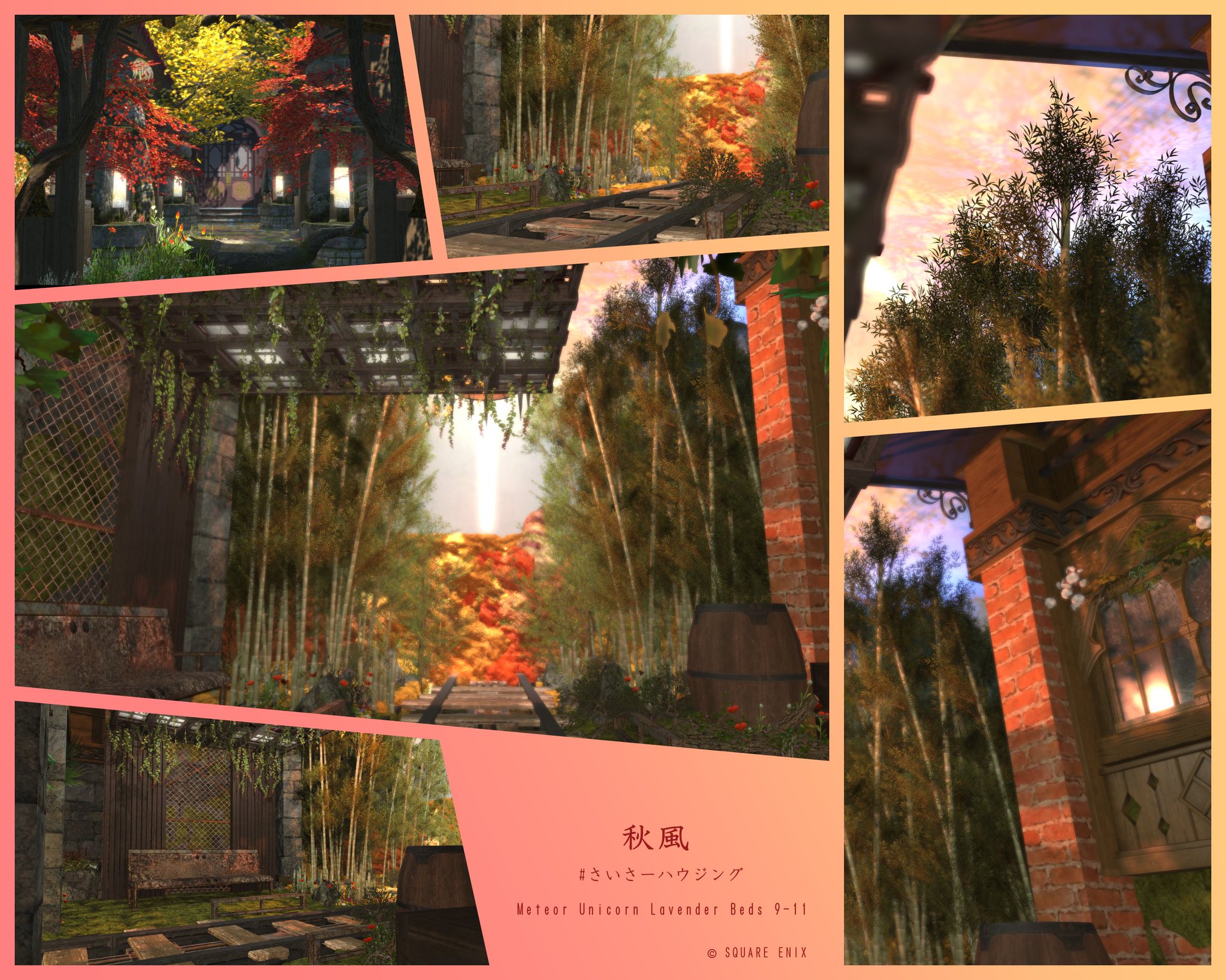 よっしー＠戸棚の梅酒🐚💫☄️ on X: 