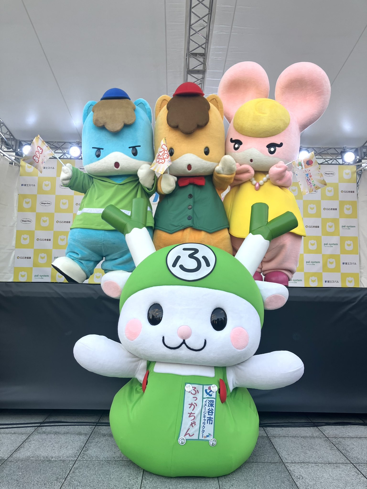 ふっかちゃん on X: 