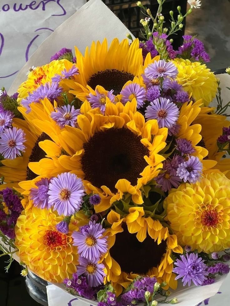 SUNFLOWER 🌻 tweet media