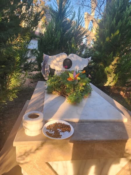 LodosHaber's tweet image. Antalya’da sokak köpeklerinden kaçarken kamyonun altında kalıp hayatını kaybeden 9 yaşındaki Mahra’nın mezarına mama bırakıldı.

#Antalya #sokakköpekleri #kamyon #Mahra