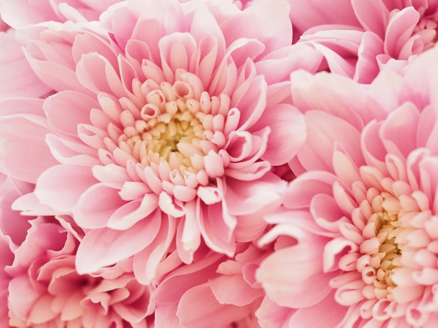 Your knowledge is a priceless asset. Thanks, bro. This article is a fantastic resource. I'll definitely be sharing it with others. Krista Budge