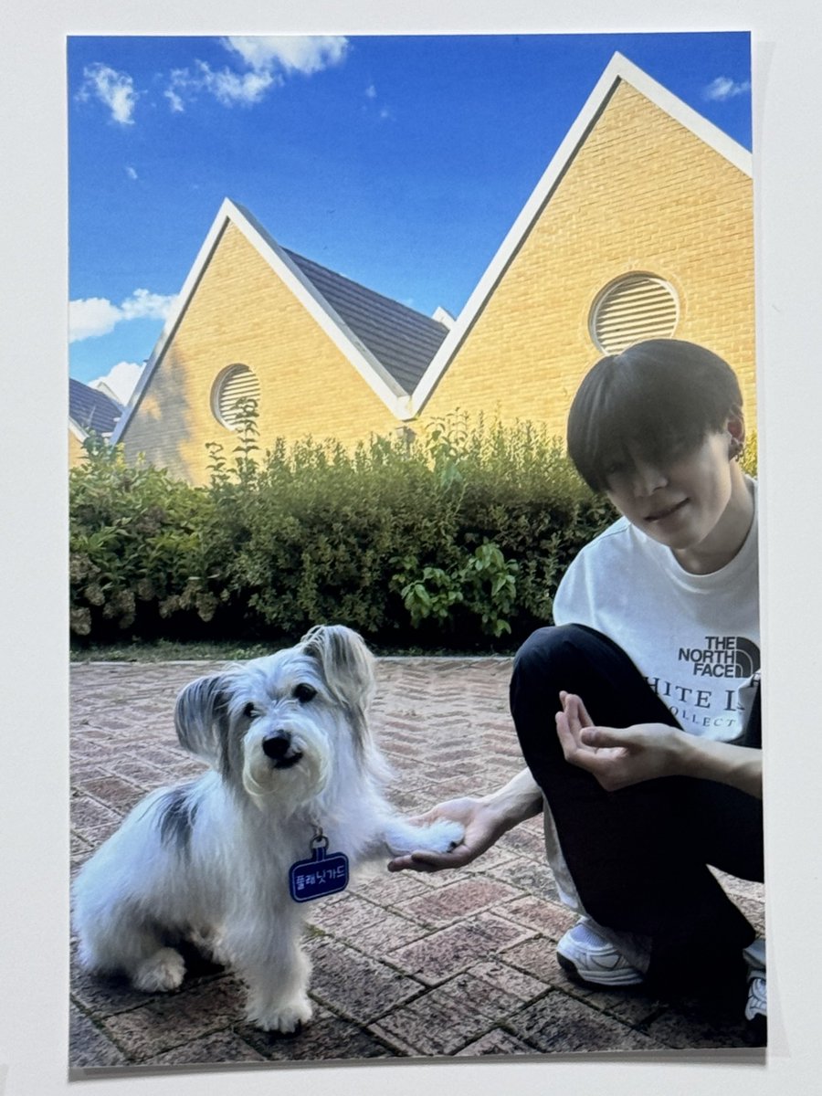 zzoo_nmin's tweet image. 준민 ♡ 춘배

오늘부터 내 최애사진 이거야ㅑㅑ