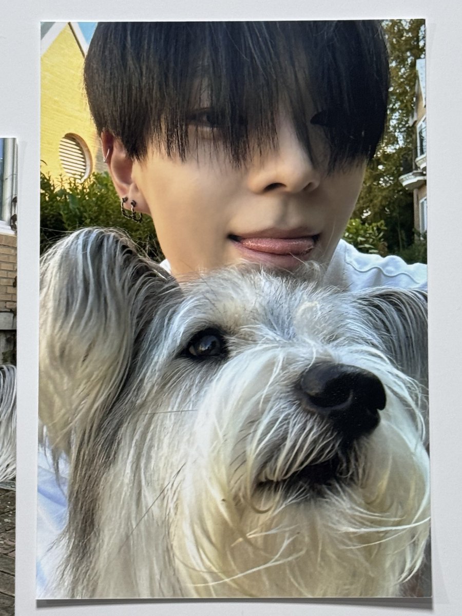 zzoo_nmin's tweet image. 준민 ♡ 춘배

오늘부터 내 최애사진 이거야ㅑㅑ