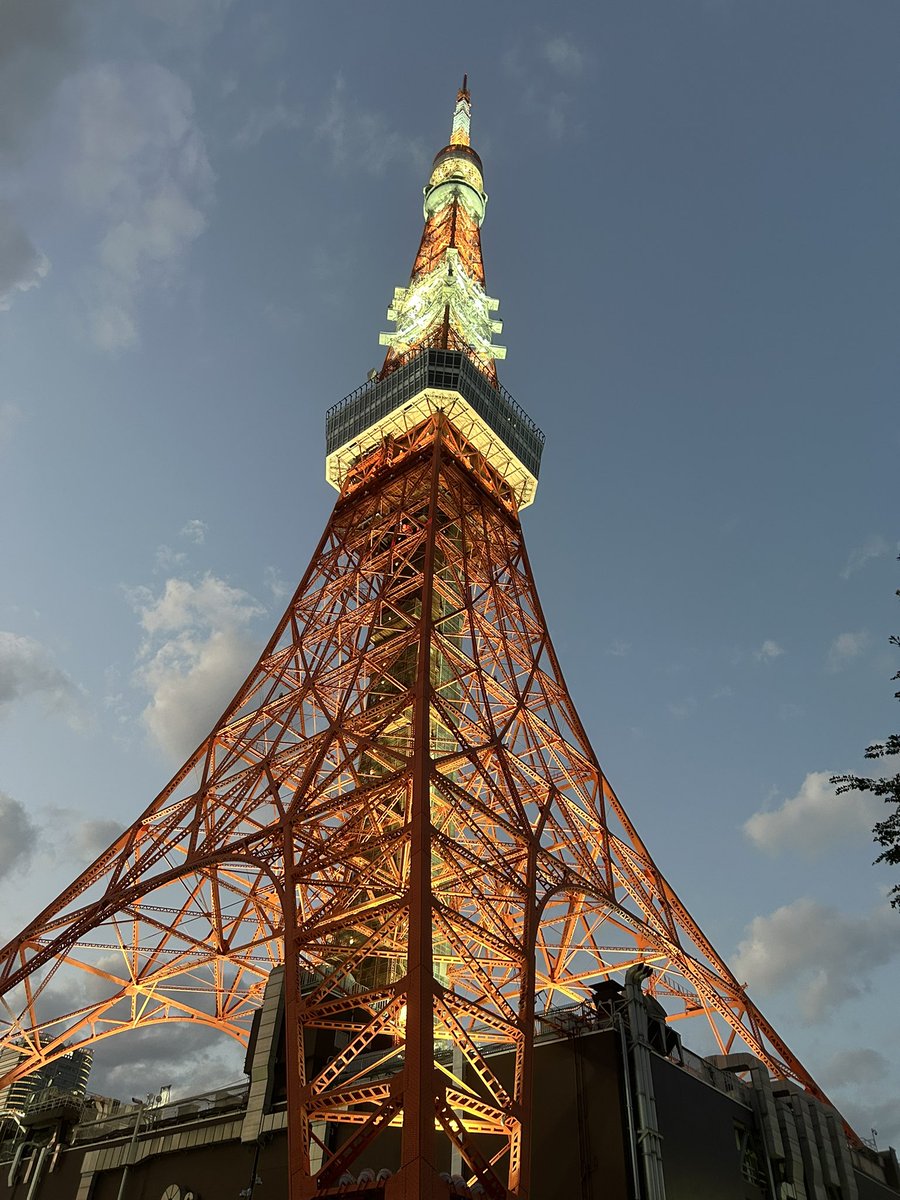 東京タワー様、確認用です。 東京タワースペシャルライトアップ点灯！ACG WORLDS共同主催