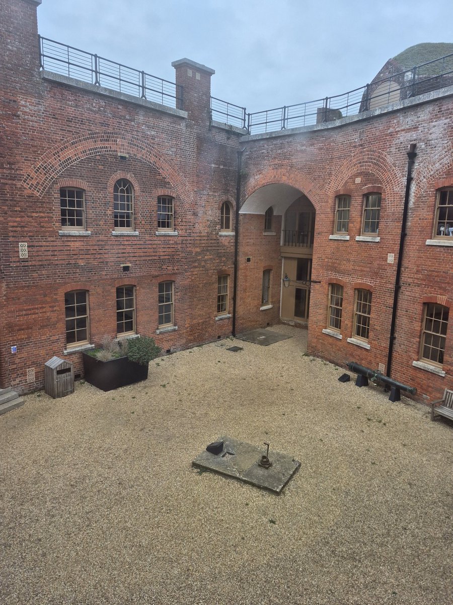 Donna McHugh 💙 🇺🇦 tweet media