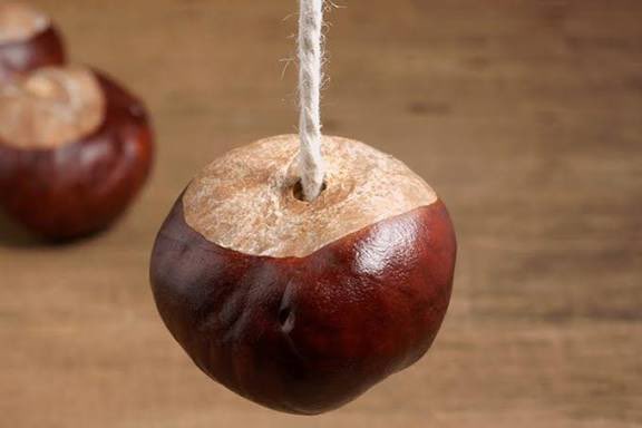 janey_wayney13's tweet photo. As I've been walking to work this week,I've seen so many conkers on the ground.
Remembering when I was a kid, visiting my grandparents & my Grandad used to go up to his workshop,drill the holes in the conkers & string them up for him & I to play....for hours ๐๐ป๐ค
#SimpleTimes https://t.co/VpqidFLHTY