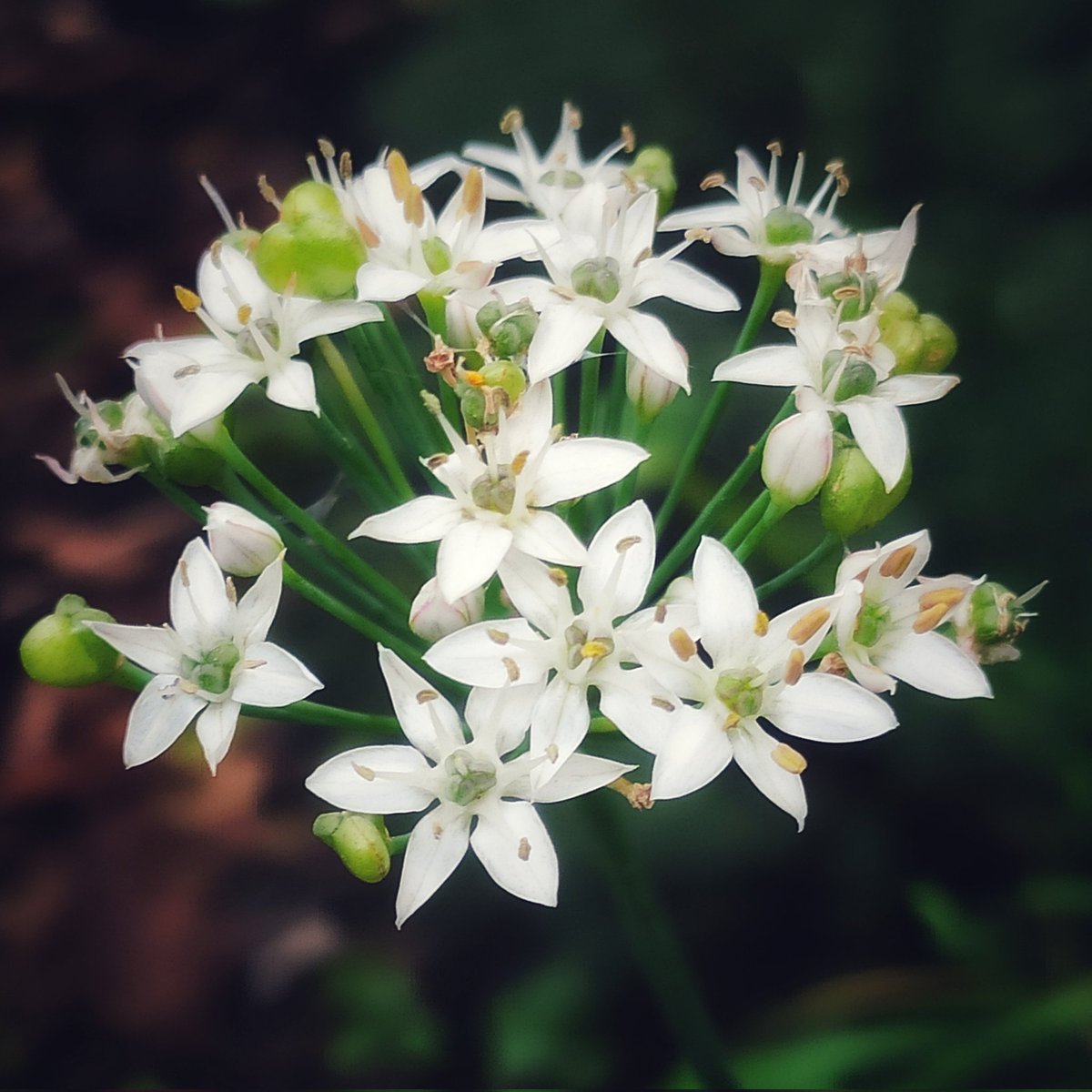 Moin, glanzvollen Sonnabend!