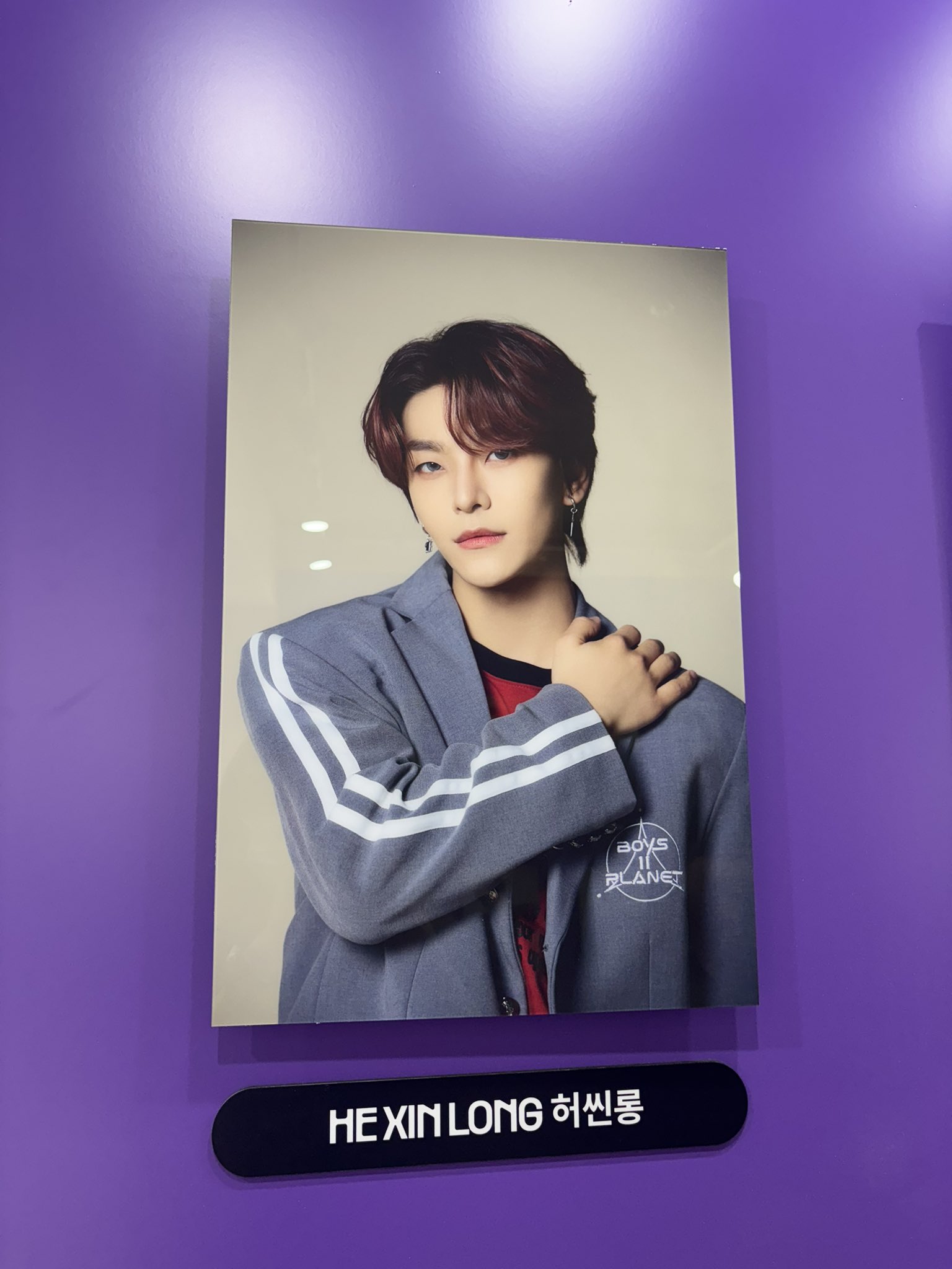 アーカイブ展 - Search / X