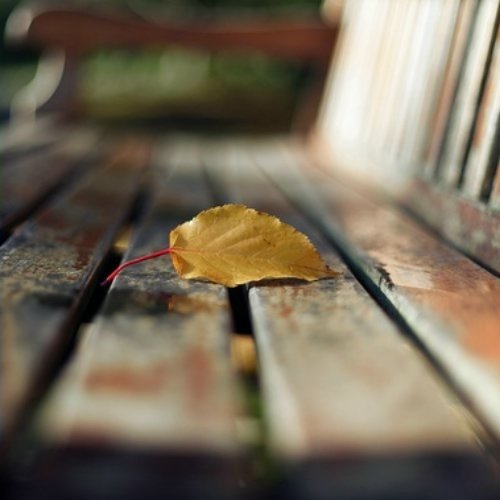 Нужно было так много сказать, что все осталось несказанным. 
〰️Туве Янссон "Папа и море"