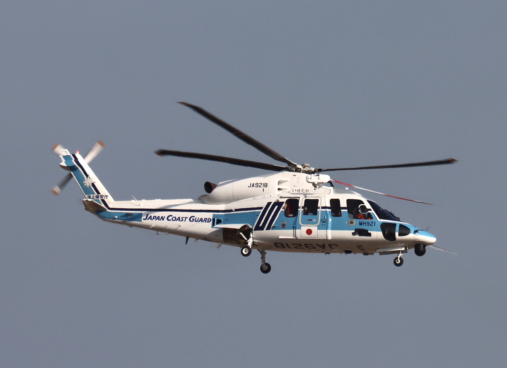 航空機・ヘリコプター JA794A Amazon | 全日空商事 1/200 777-300ER JA794A (WiFiレドーム
