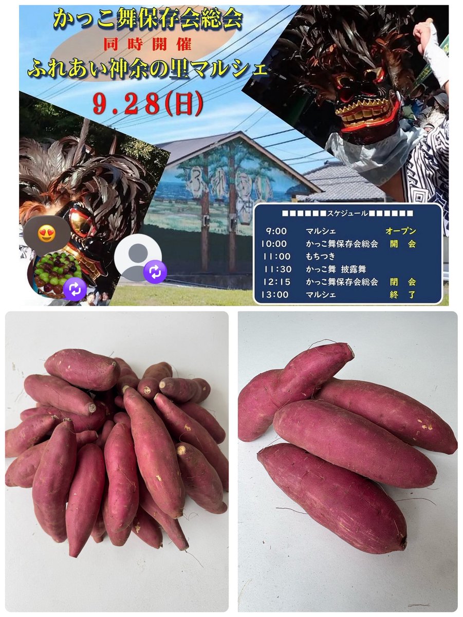 brave_2024's tweet photo. 初物のあまはづき入荷しました！
8月(葉月)でも甘いお芋だからアマハヅキ^_^
ねっとり系の王道熟成べにはるかとは違い熟成していない収穫直後のフレッシュなお芋になります。
期間限定のお芋になりますので是非ともご賞味ください♪
9月28日(日)9時から13時まで
ふれあい神余の里マルシェ https://t.co/DK83rhadCK