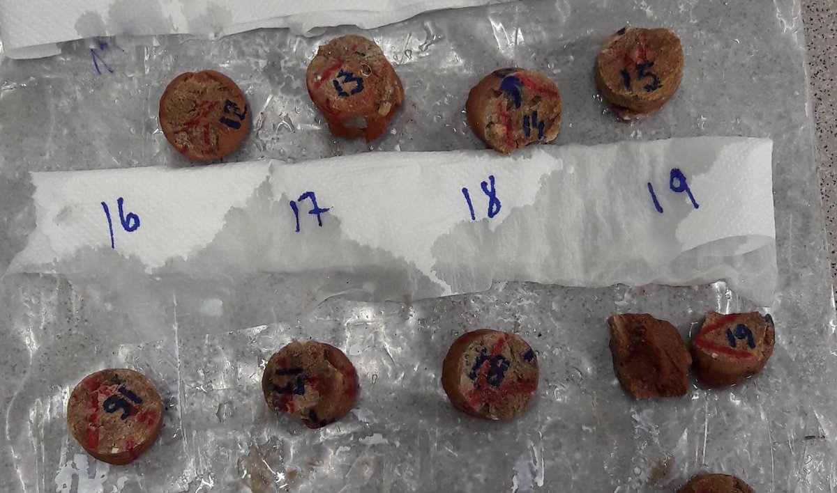 NataliaGR3's tweet photo. Son agujeros que hacen los paleomagnetas/arqueomagnetas para coger muestras y poder estudiar el magnetismo de la tierra 🧲🌍 #U1CCiencia https://t.co/OoihfHxezV