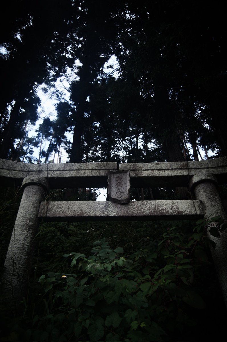 あの森に入ってはいけない