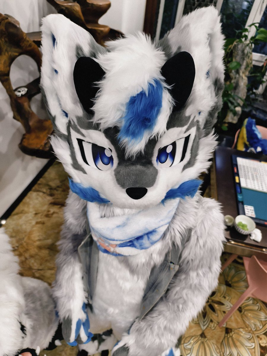 和舒适的生命在一起就是养生.#furry #furmony