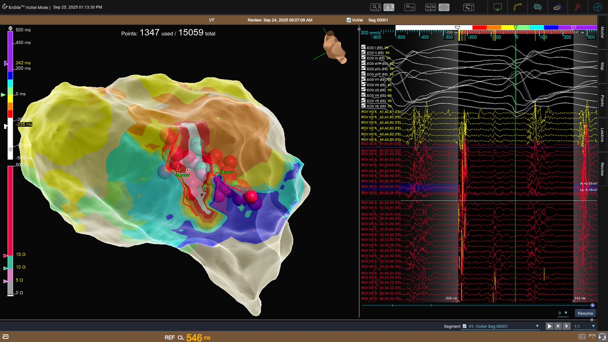 Lublin_EP tweet media