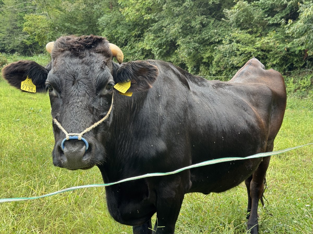 みんてく tweet media