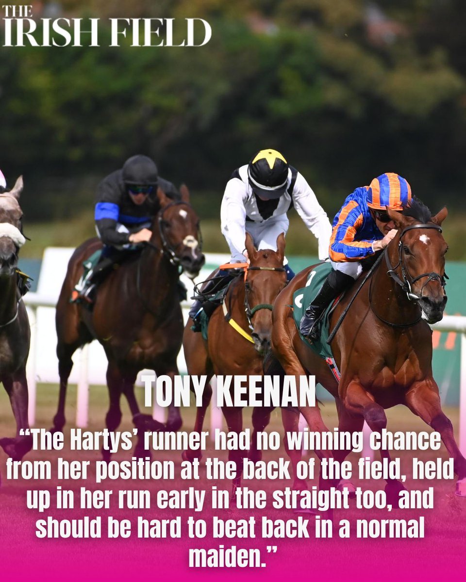 In The Irish Field this weekend, Tony Keenan picks though the recent Irish racing to spot some horses worth putting in the notebook. <a href="/RacingTrends/">Tony Keenan</a>  
eu1.hubs.ly/H0npj_v0