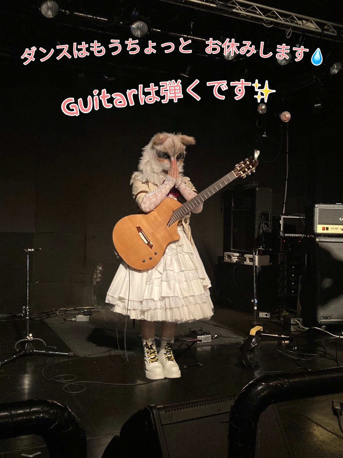 猫助手. (@jzoo0905) / X