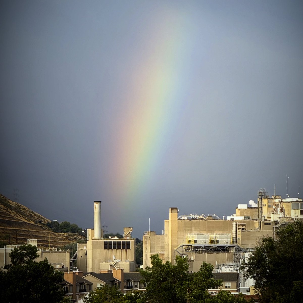 Samuel Boender tweet media