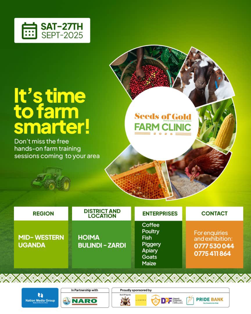 BulindiZ's tweet photo. 🌾 It’s happening TODAY!

All roads lead to NARO Bulindi for the #SeedsOfGold #FarmClinic!

✅  Learn climate-smart farming tips

🤝  Network with fellow farmers &amp; experts 

✅  Buy quality agro-inputs 

📍 Bulindi Town Council, 20km on the Hoima-Masindi Road.

Don’t miss out! https://t.co/FqDUbpQ7rB
