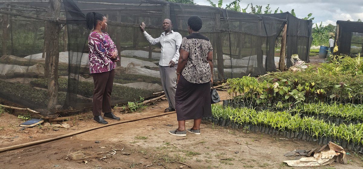 Barbara M Zawedde tweet media