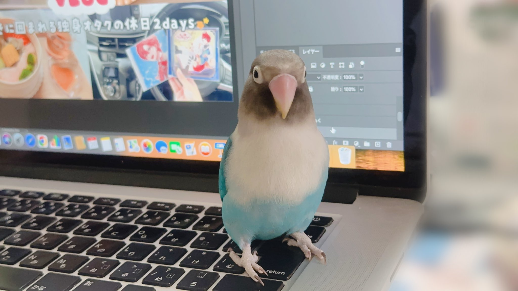 rain.hitujiちゃん♡ レイン。 🍭💧 (@rain_mdr) / X