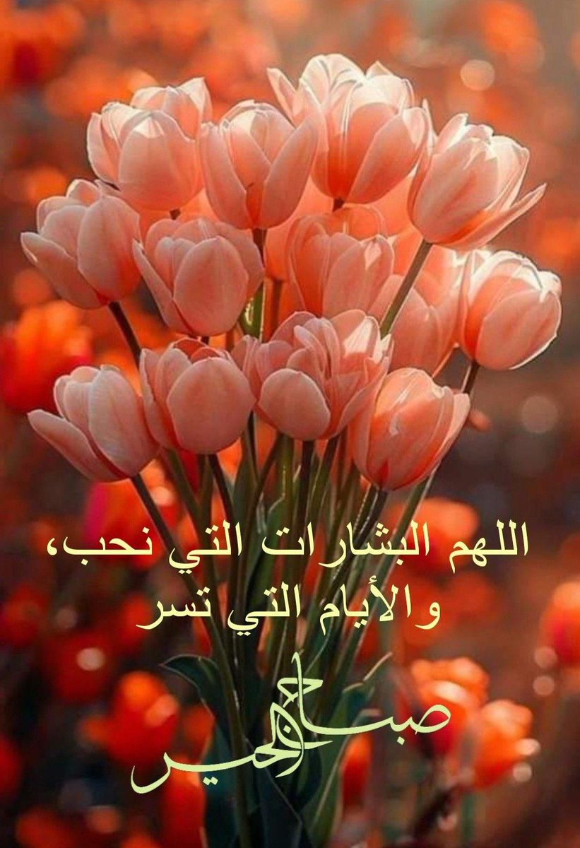 MAMDOUH (@rofeerofe) on Twitter photo 